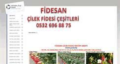 Desktop Screenshot of fidesan.net